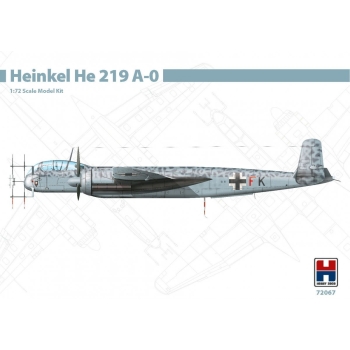 Heinkel He 219 A-0 (72067)