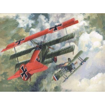 Fokker Dr.I (010)