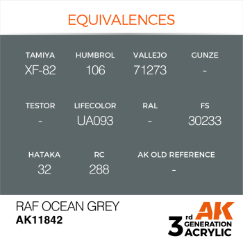 RAF OCEAN GREY (11842) - 17ml