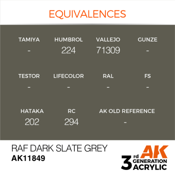 RAF DARK SLATE GREY (11849) - 17ml